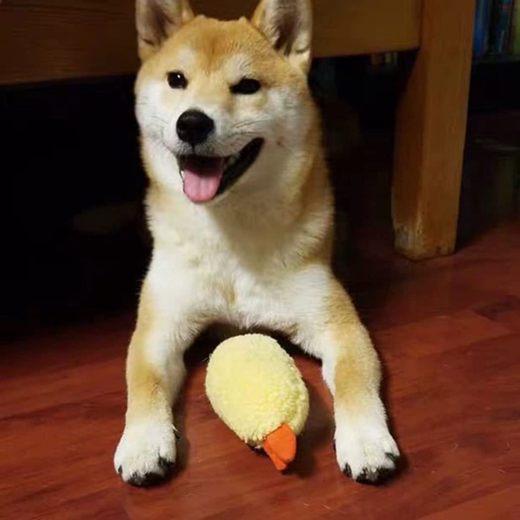 Bite Proof Squeaky Dog Toy X620
