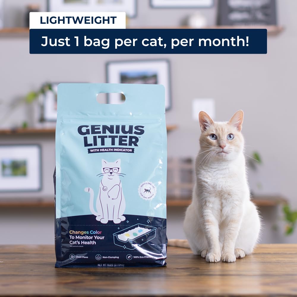 Lightweight Crystal Silica Gel Cat Litter, 6 lb Bag V960654