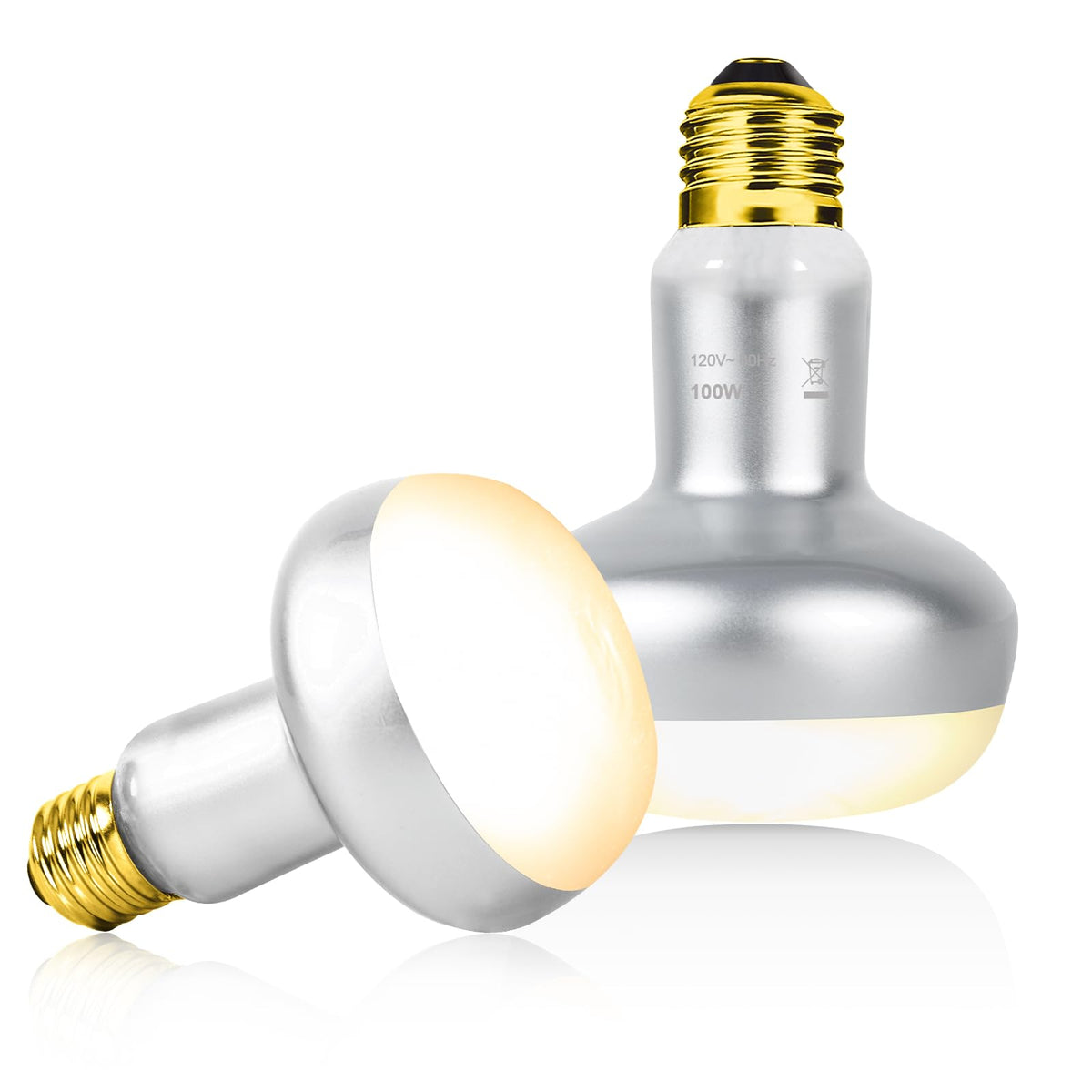 Heat Lamp Combo Kit K6049