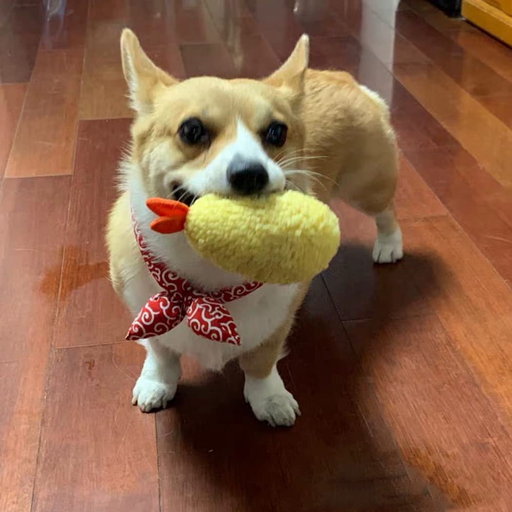 Bite Proof Squeaky Dog Toy X620