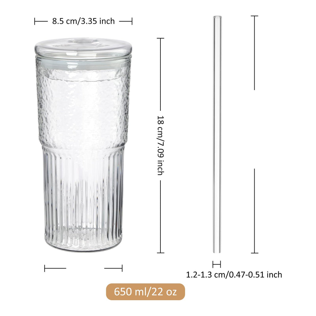 22 oz Clear Borosilicate Glass Tumbler with Straw and Lid, Set of 2 F312478