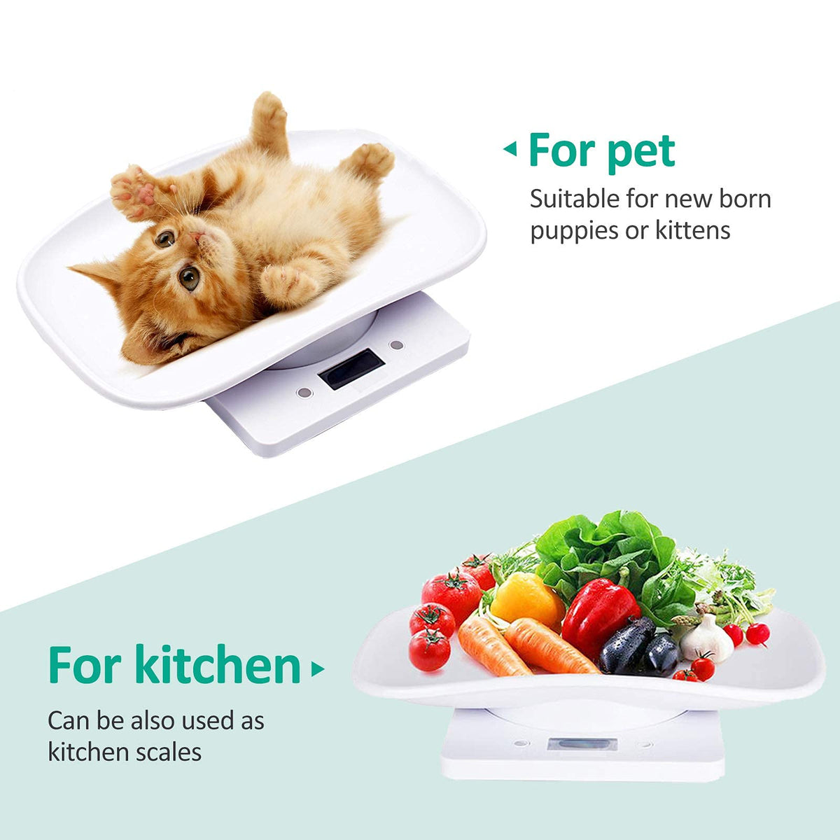 Digital Pet Scale with Tape Measure B654346