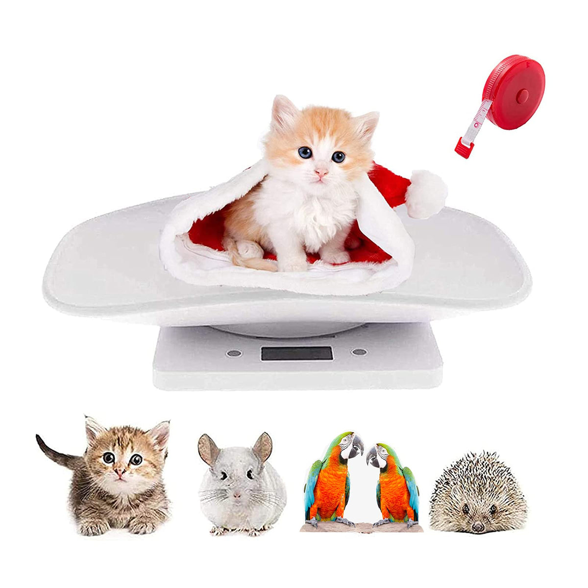 Digital Pet Scale with Tape Measure B654346