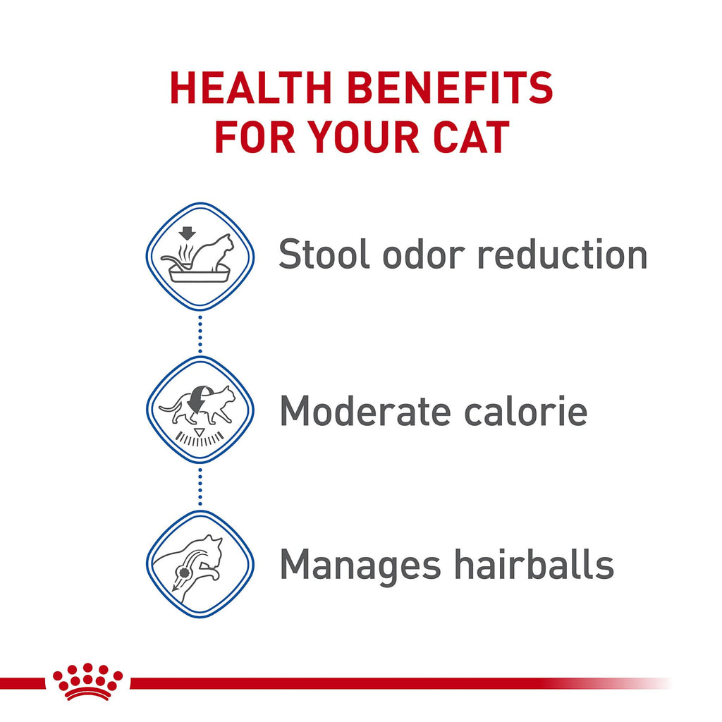 Indoor Adult Dry Cat Food 15 lb Bag R10329