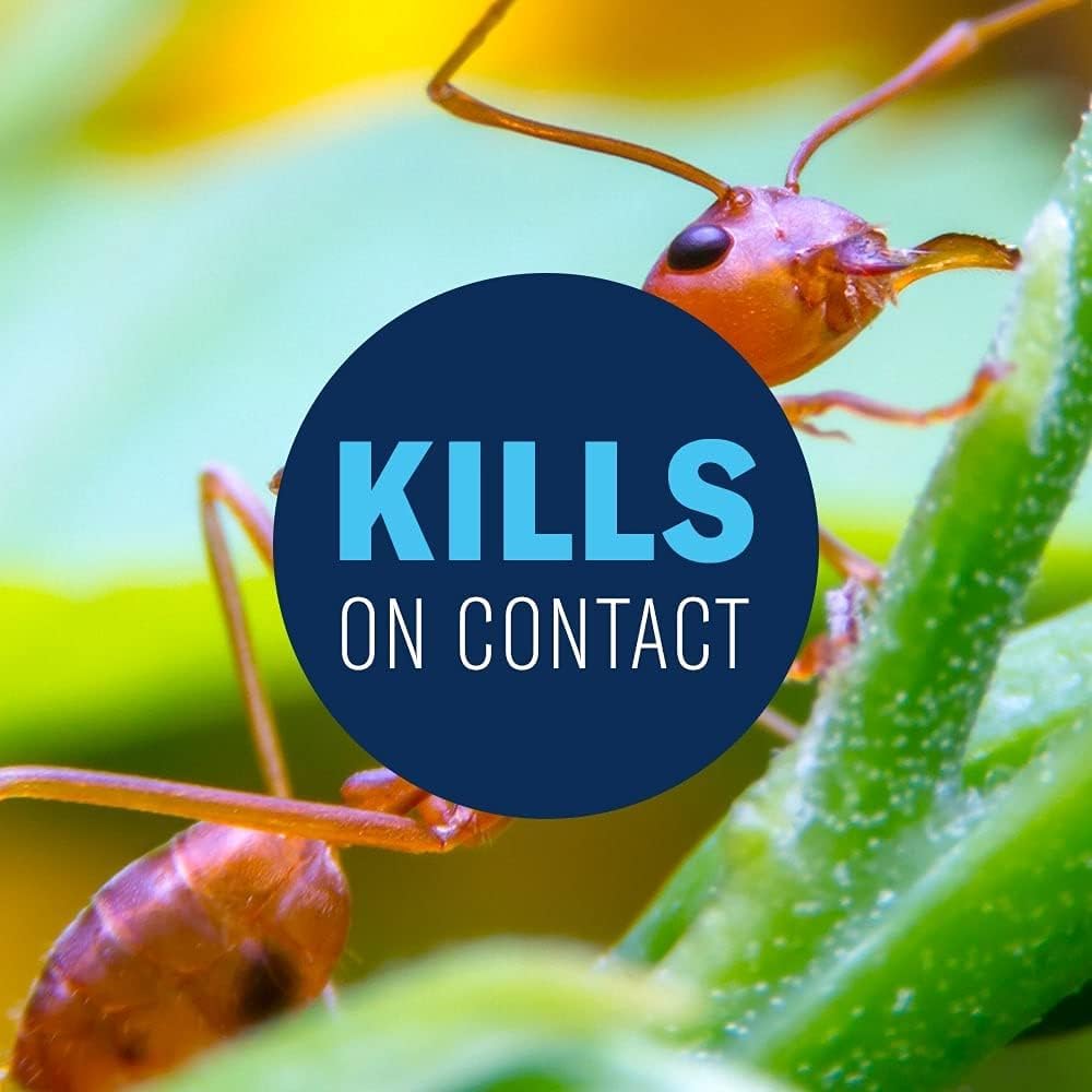 24 Hour Lawn Insect & Fire Ant Killer Concentrate 32 oz W63008