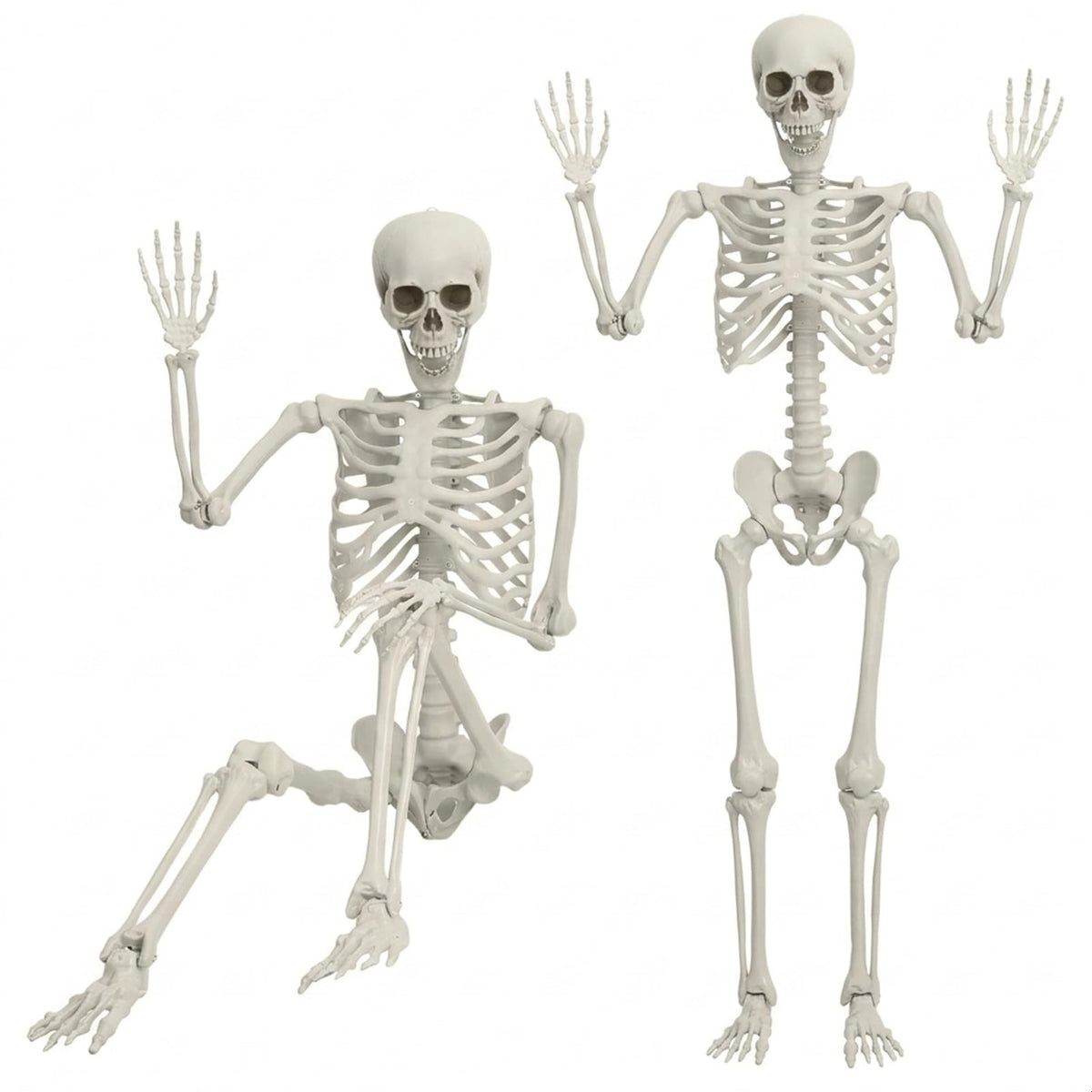 5.4FT Posable Life Size Skeleton with Movable Joints B669956