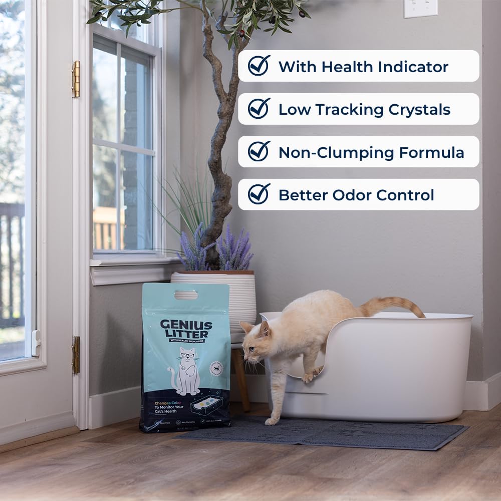 Lightweight Crystal Silica Gel Cat Litter, 6 lb Bag V960654