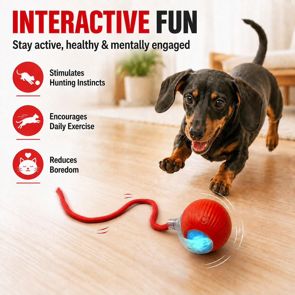 Automatic Rolling Electronic Cat Dog Toy Y851