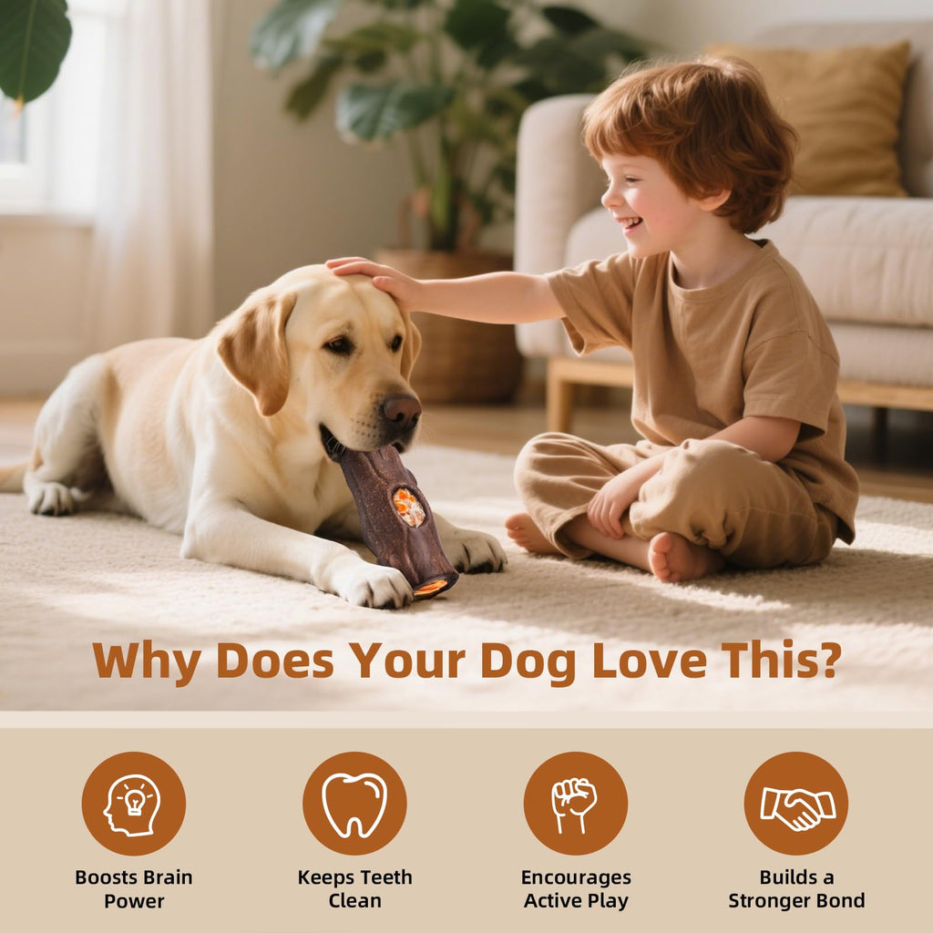 2 Pack Dog Toys N488991