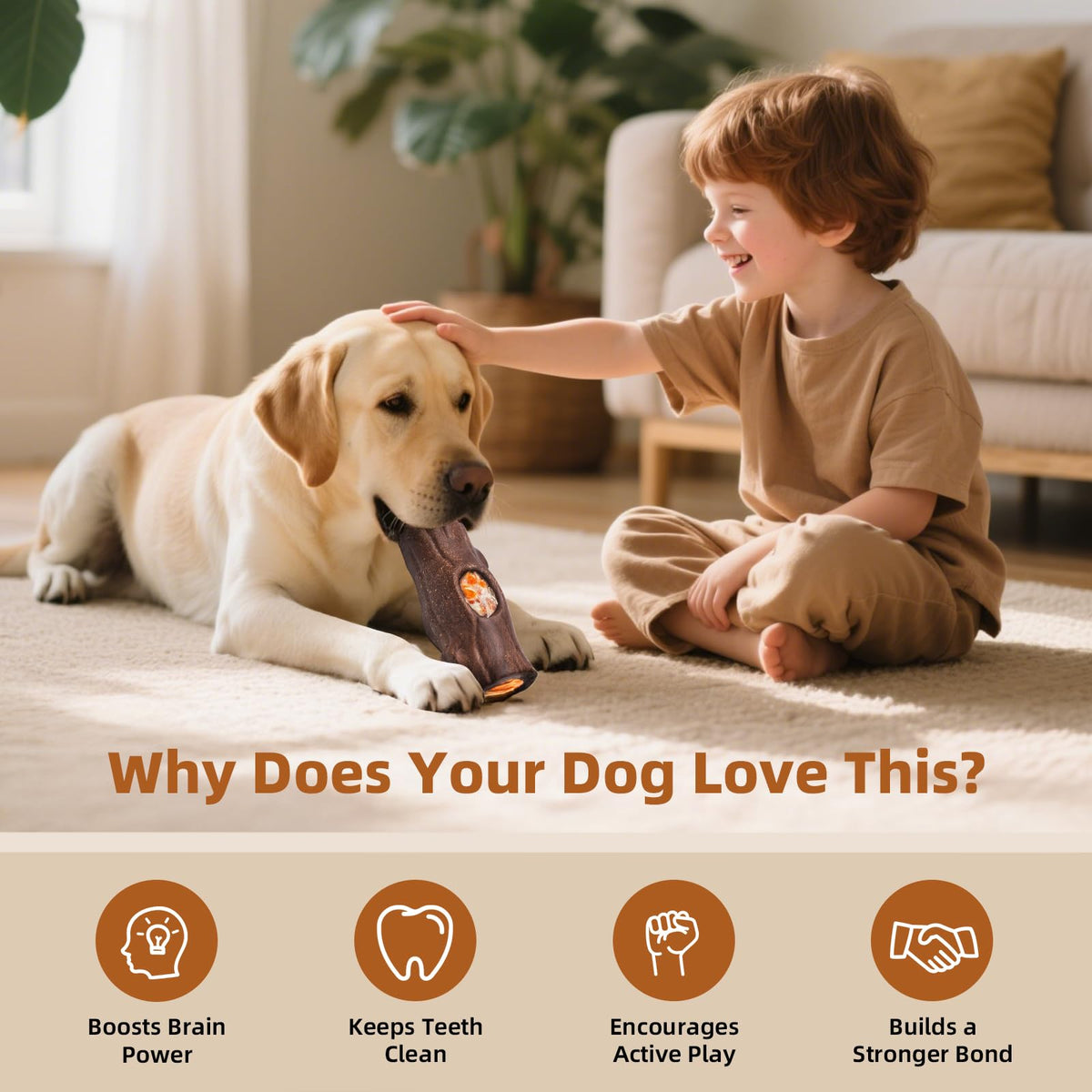 2 Pack Dog Toys N488991