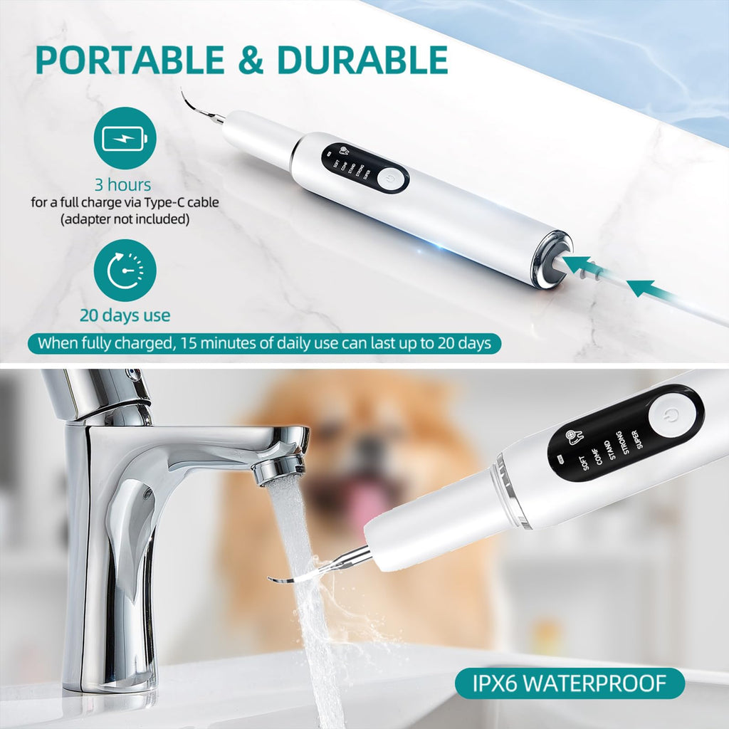 Dog Plaque Remover with LED Light Electric Toothbrush E1092