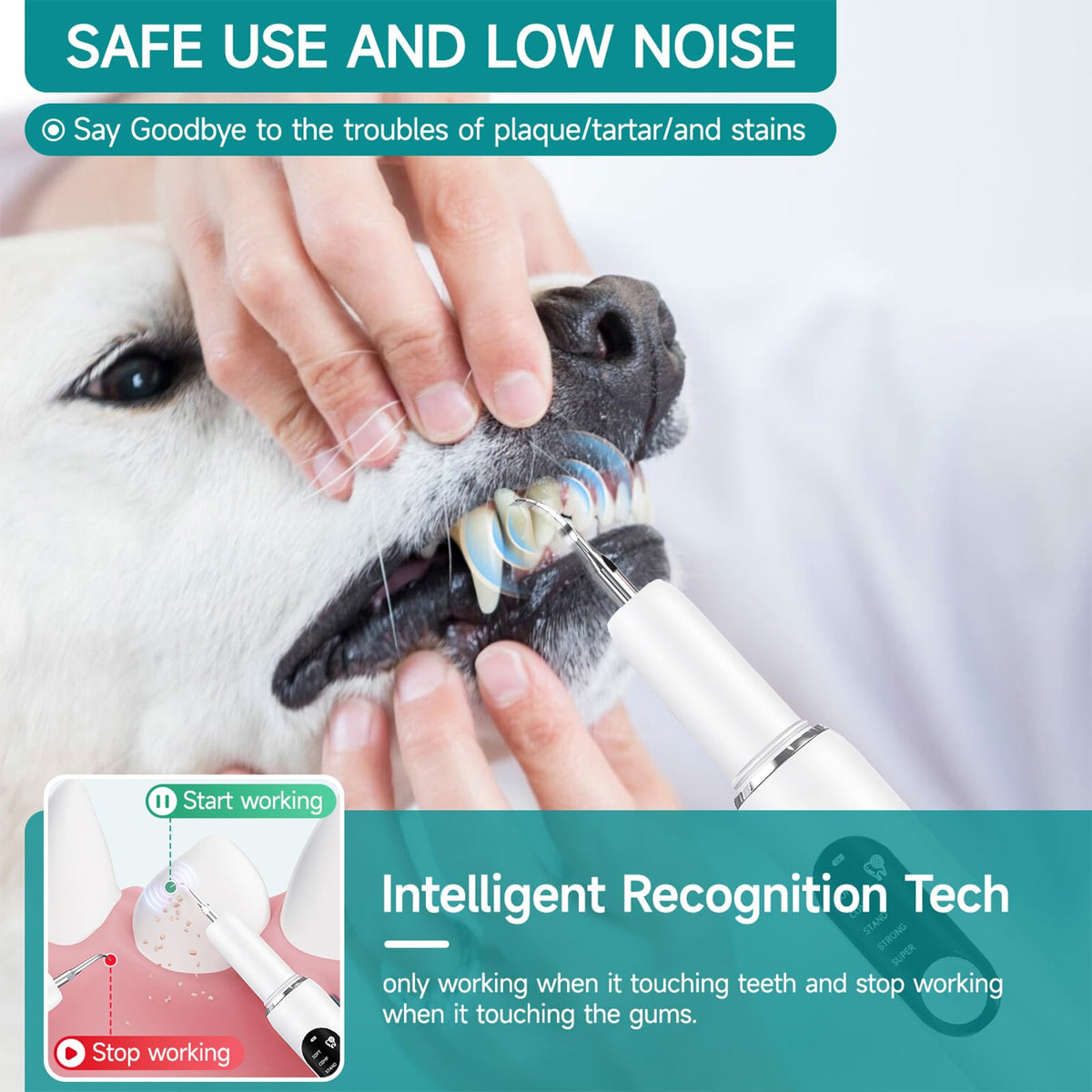 Dog Plaque Remover with LED Light Electric Toothbrush E1092