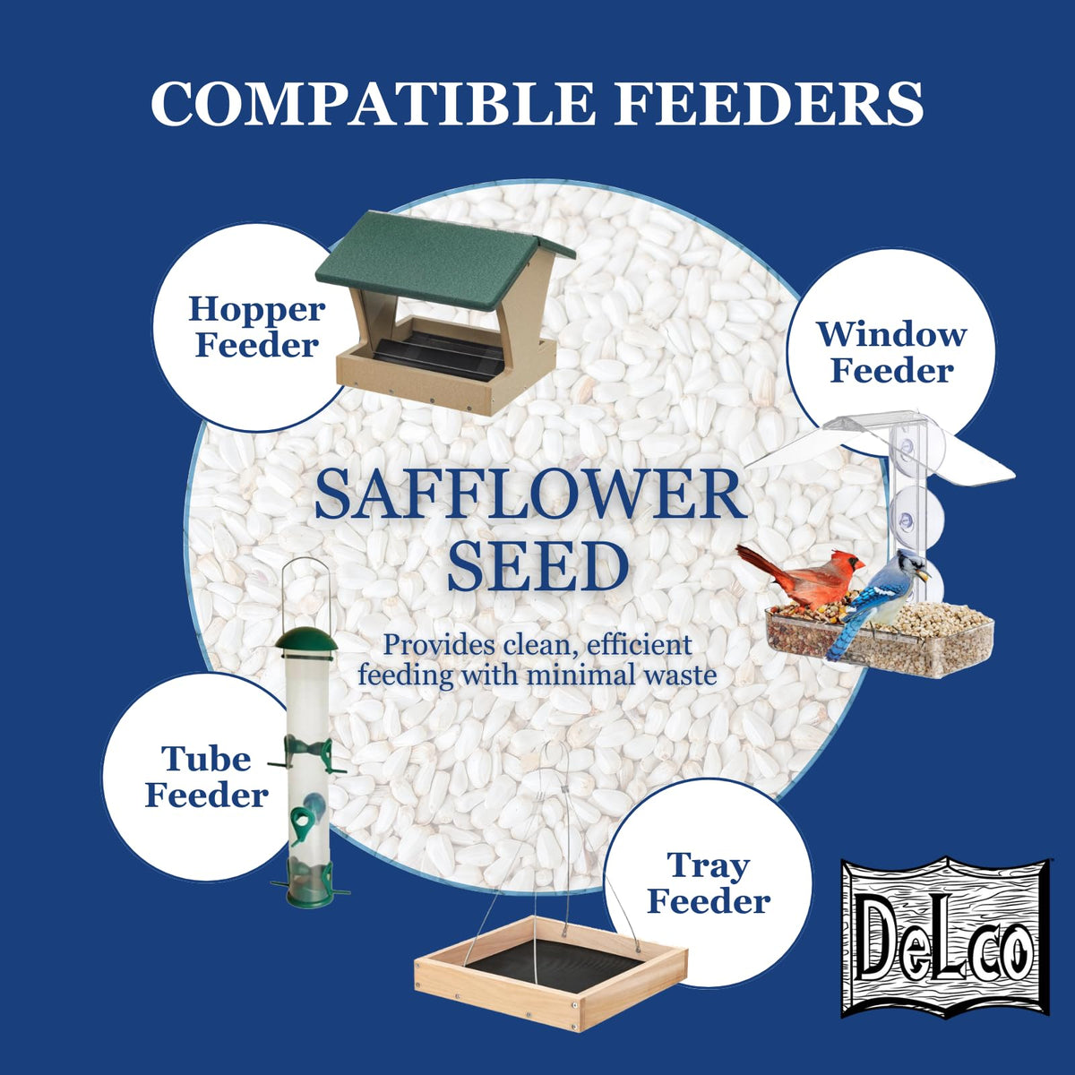 Safflower Wild Bird Seed 20 lb Bag Z699