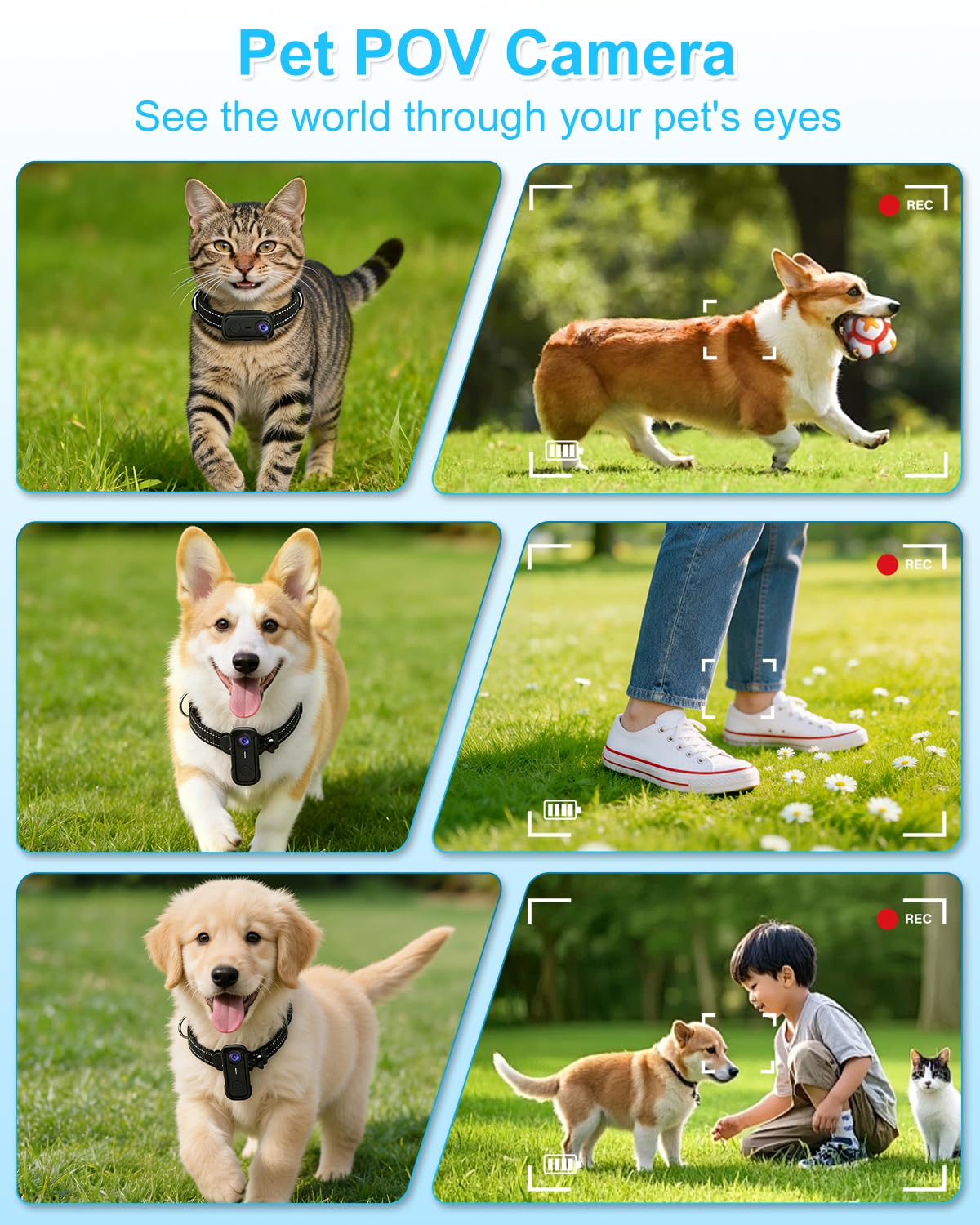 Cat Camera Collar with 1080P HD Video Record, XS-Size Pet POV Cam, 8GB SD Card I41695