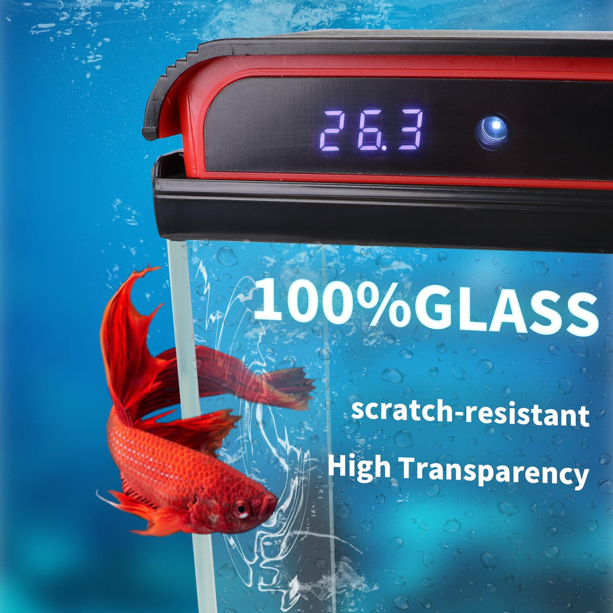 10 Gallon Glass Aquarium Starter Kit with LED Lights and Filter F839470