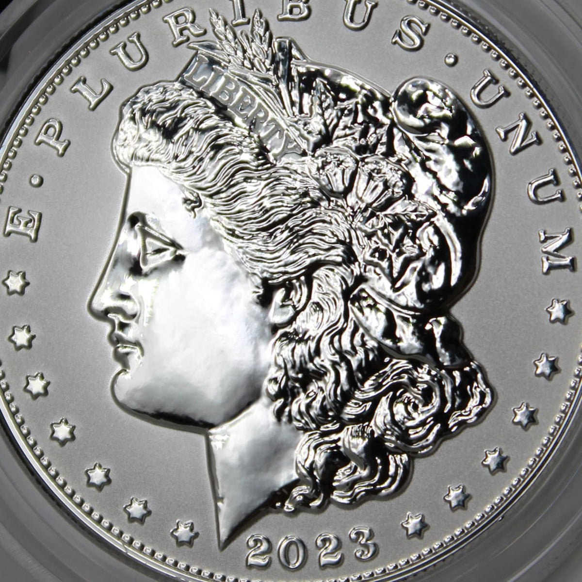 American Proof Silver Morgan and Peace $1 A309