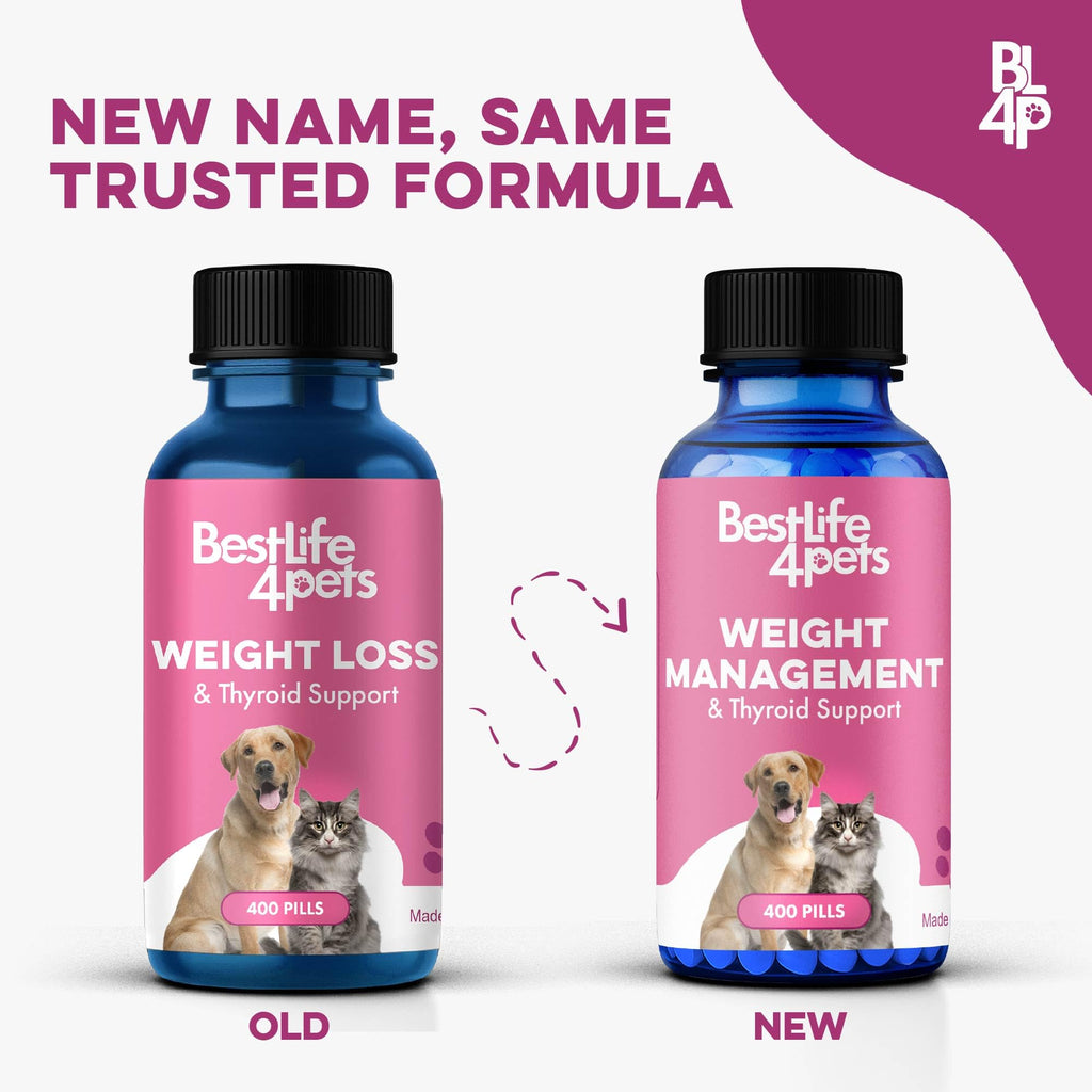 Weight Loss for Dogs 400 Pills J226618