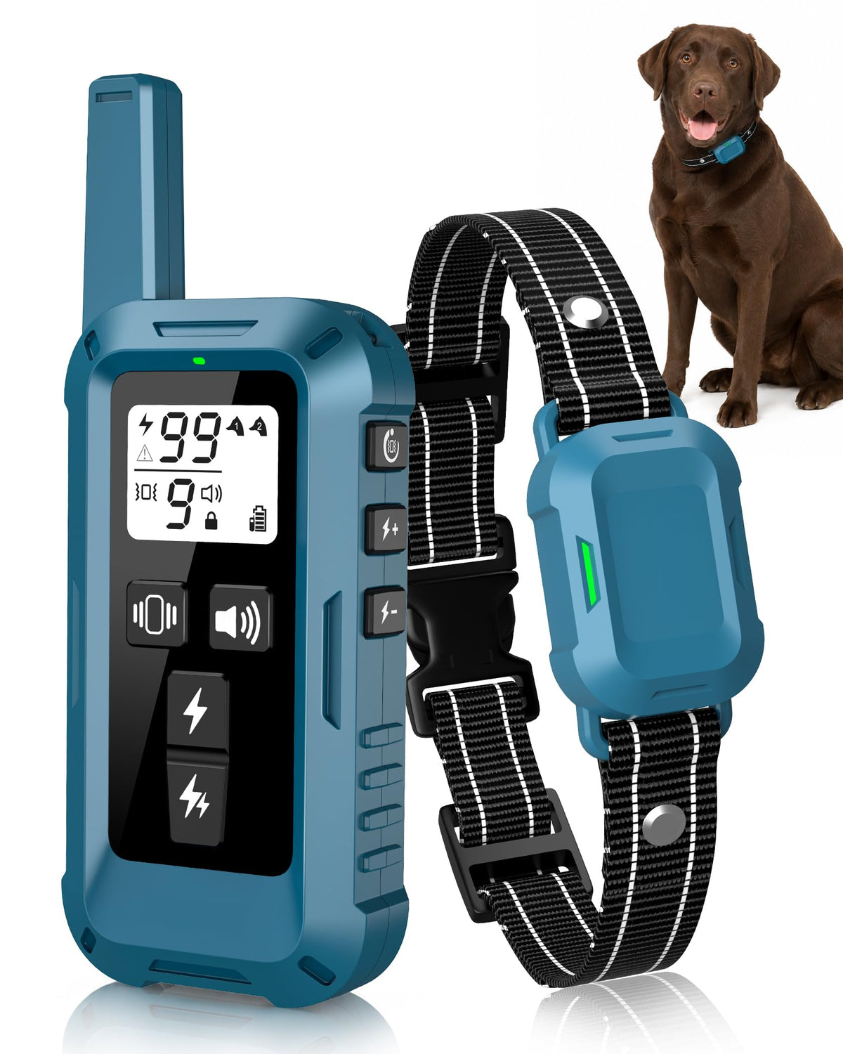 Dog Training Collar with Remote K74396