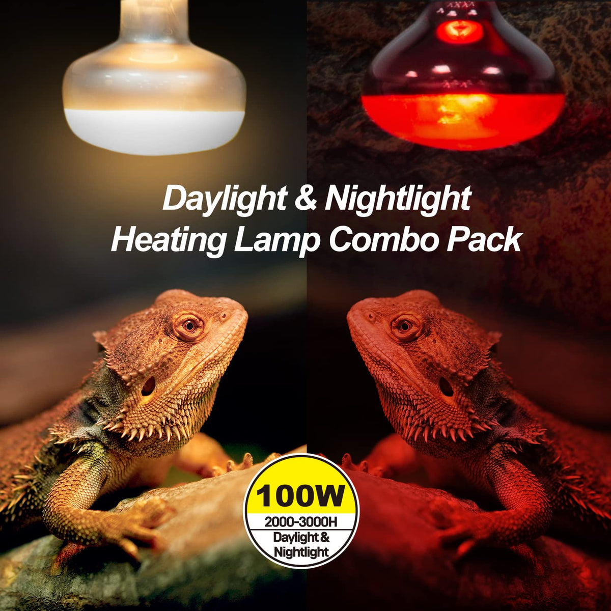 4 Pack Reptile Heat Lamp Day & Night Kit 100W N372726