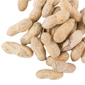 Roasted Salted in-Shell Peanuts 25 lb G5696