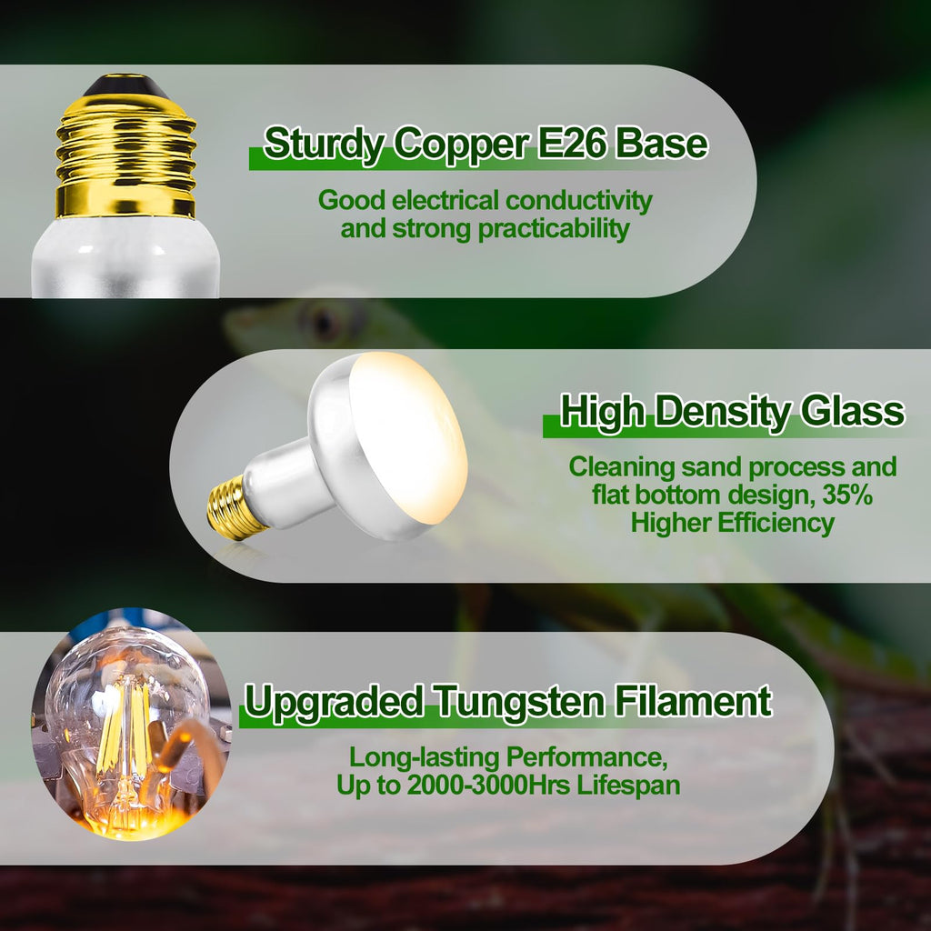 Heat Lamp Combo Kit K6049
