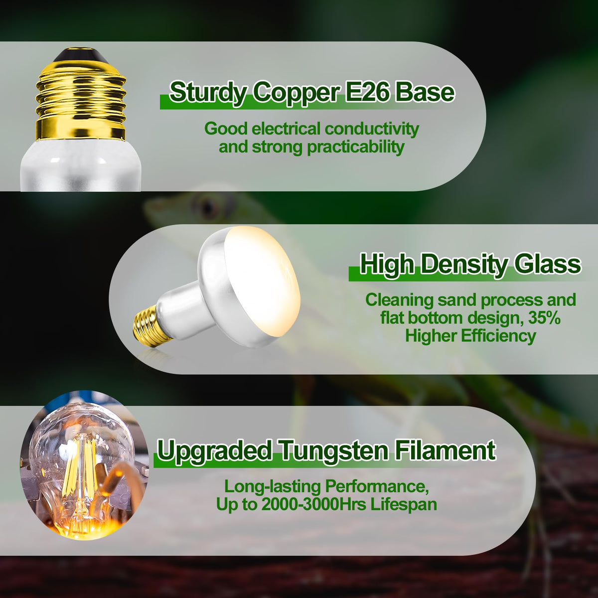 Heat Lamp Combo Kit K6049