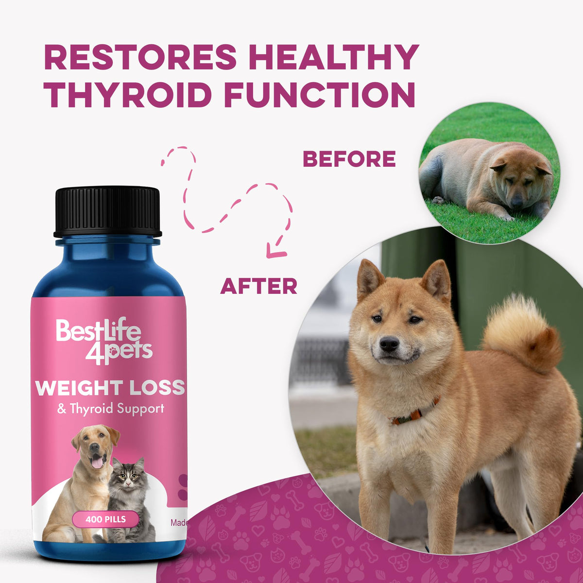 Weight Loss for Dogs 400 Pills J226618