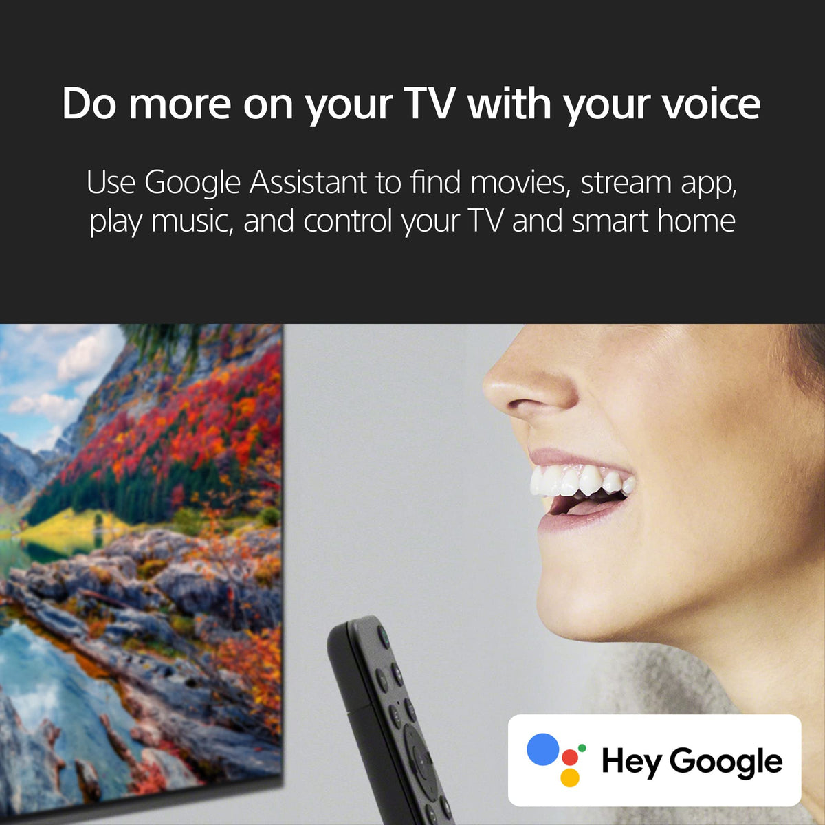43 Inch LED 4K HDR Smart Google TV L771902