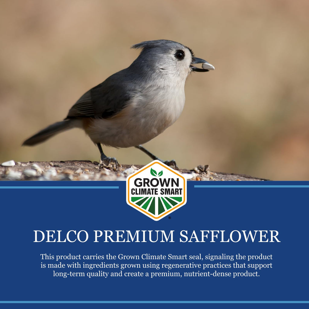 Safflower Wild Bird Seed 20 lb Bag Z699