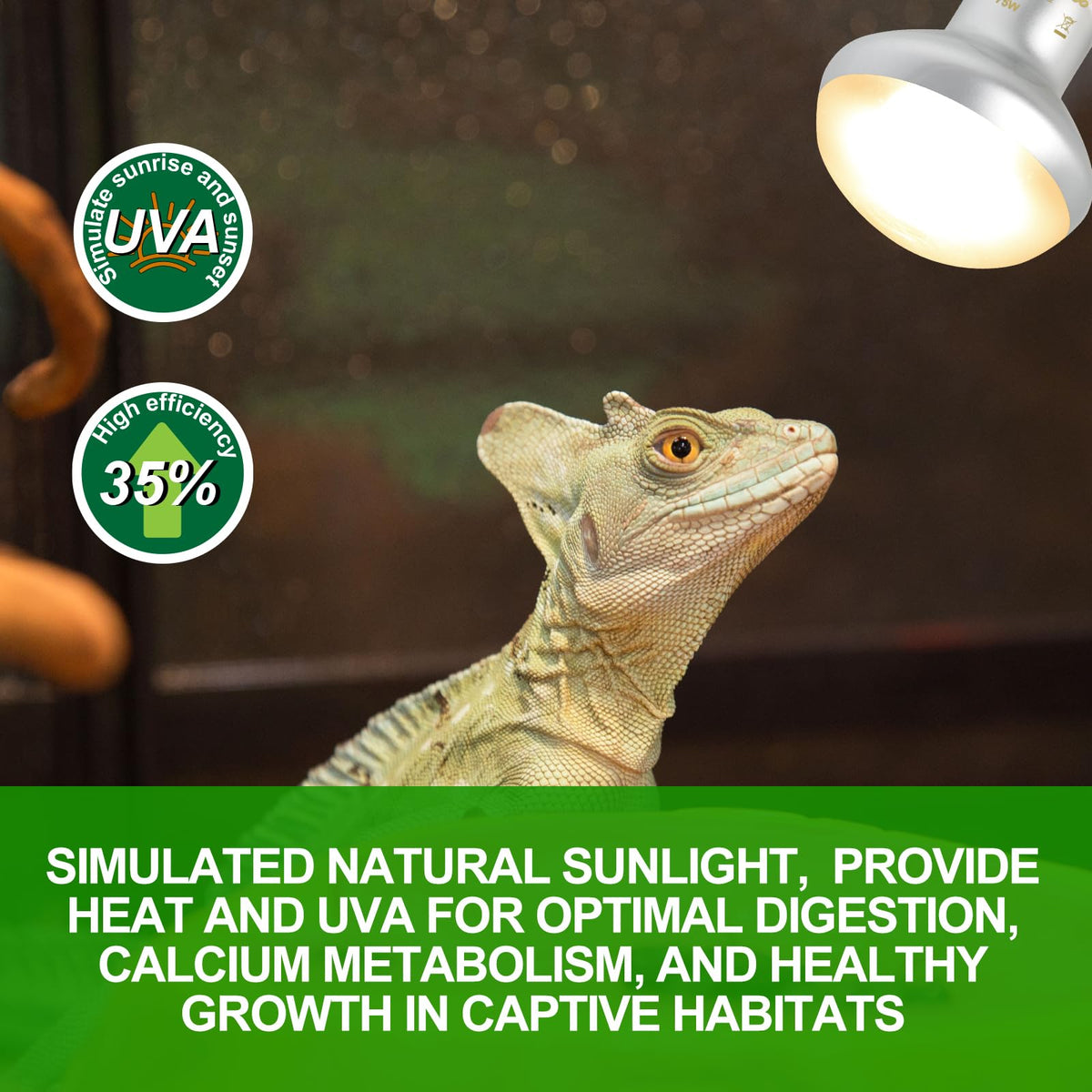 Heat Lamp Combo Kit K6049