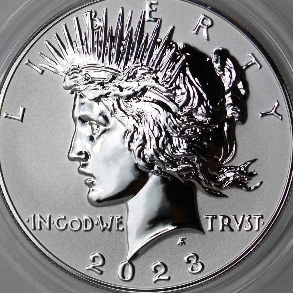 American Proof Silver Morgan and Peace $1 A309