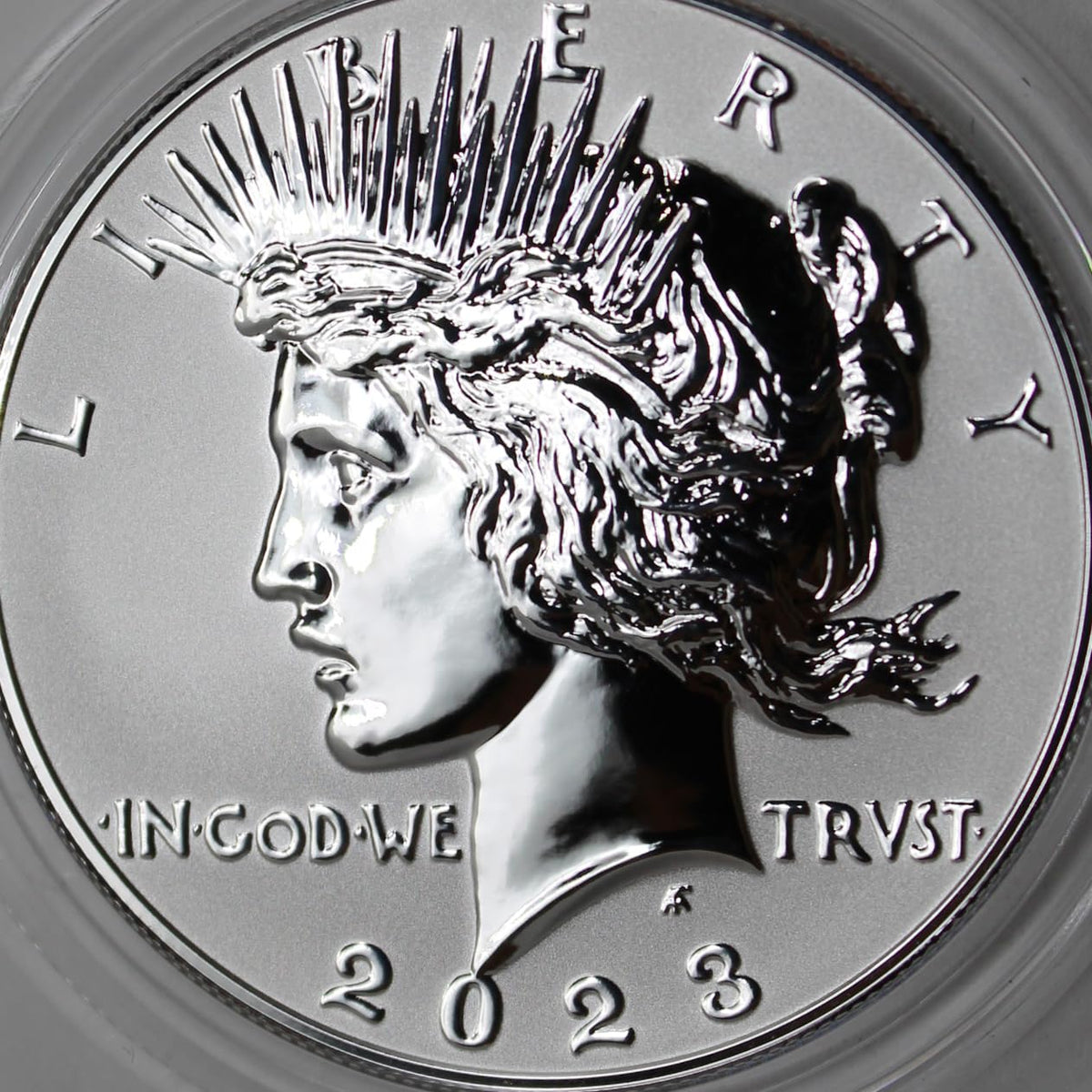 American Proof Silver Morgan and Peace $1 A309