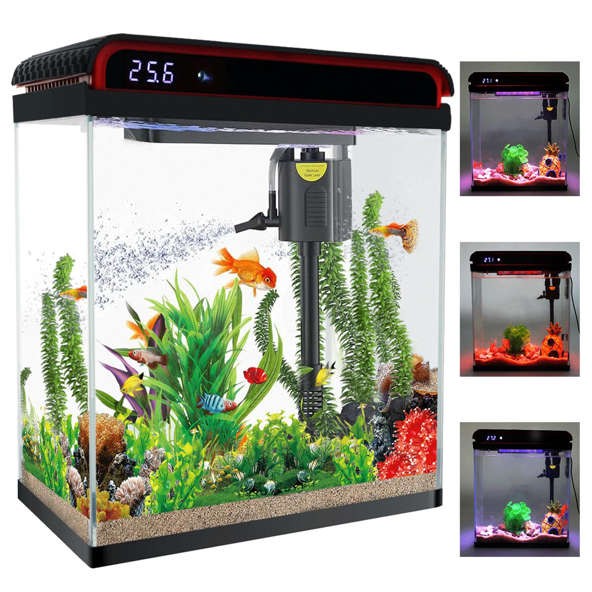 10 Gallon Glass Aquarium Starter Kit with LED Lights and Filter F839470