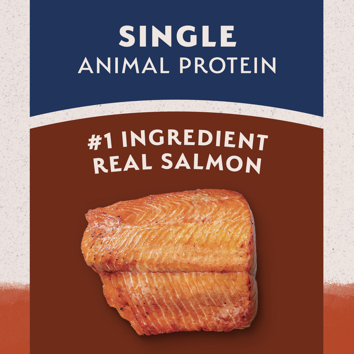 Salmon & Sweet Potato Dog Food 24 lb J35020