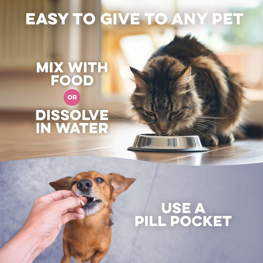 Weight Loss for Dogs 400 Pills J226618