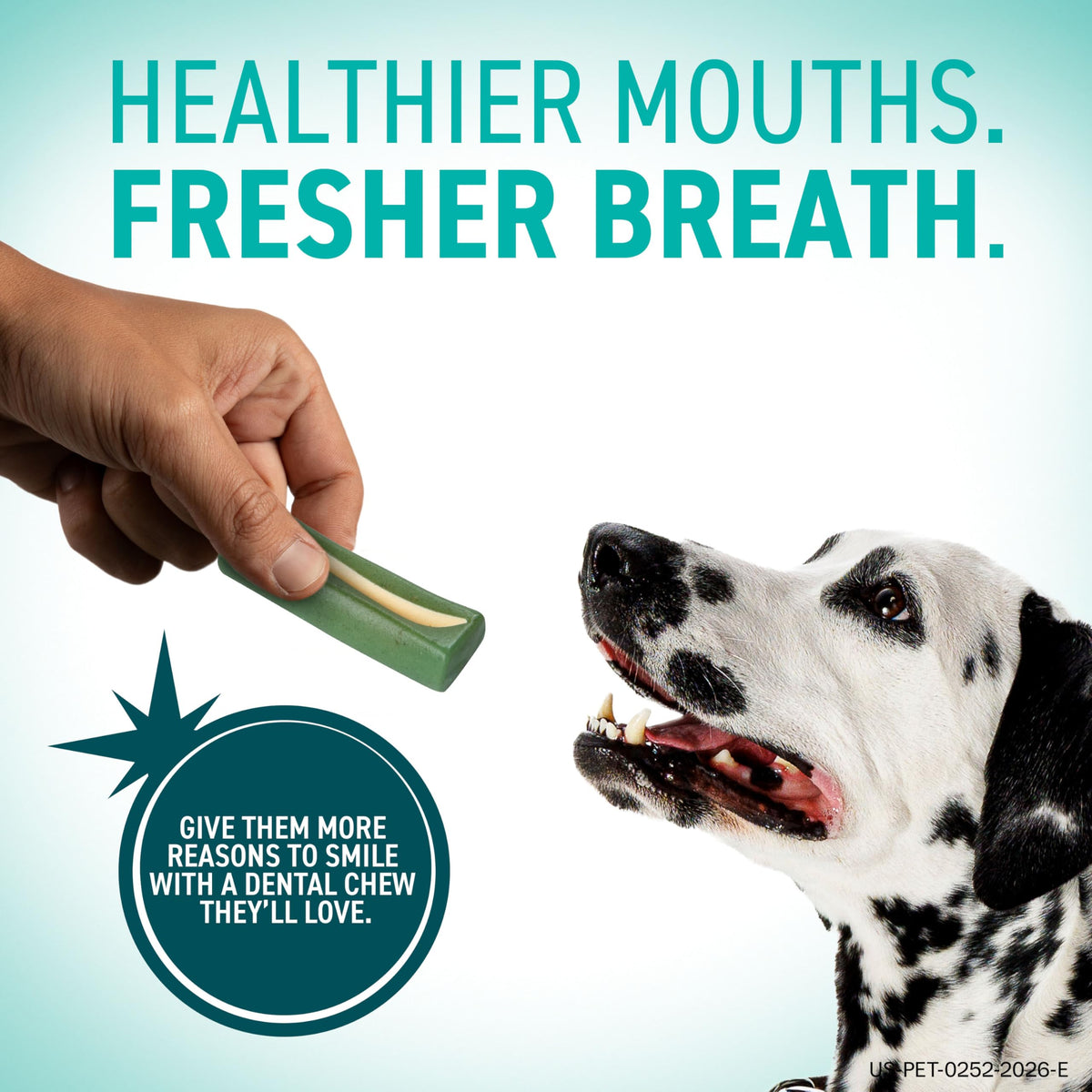 Dental Chews for Dogs 30 Count A3007
