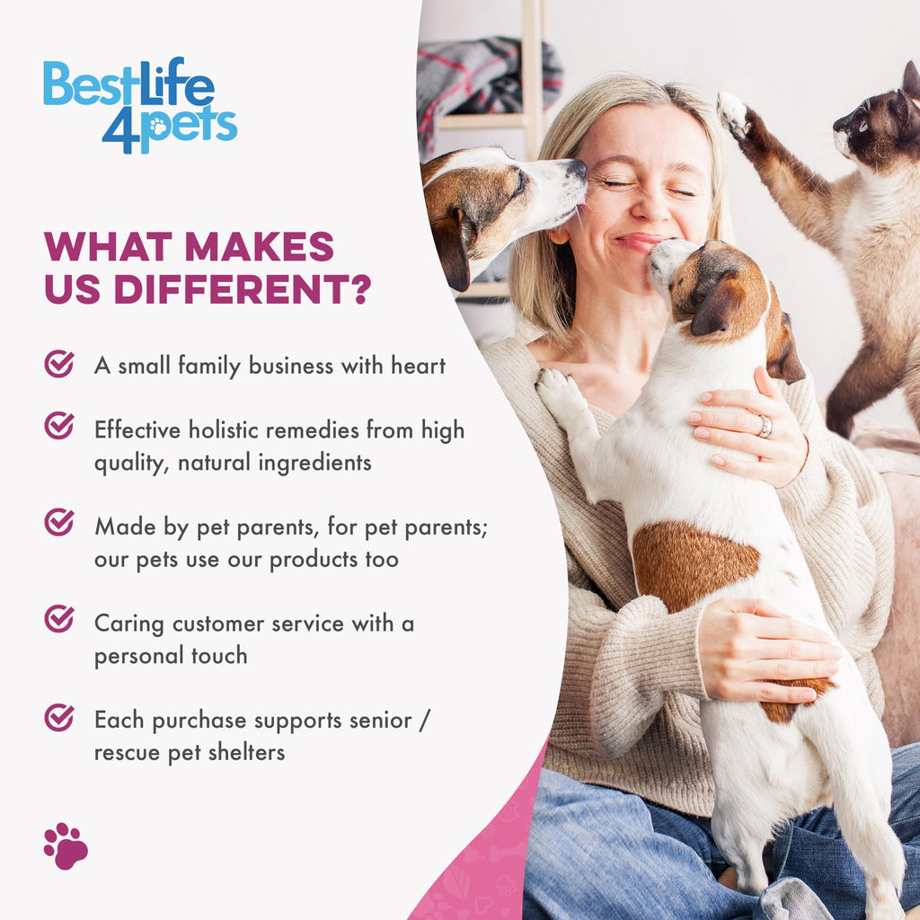 Weight Loss for Dogs 400 Pills J226618