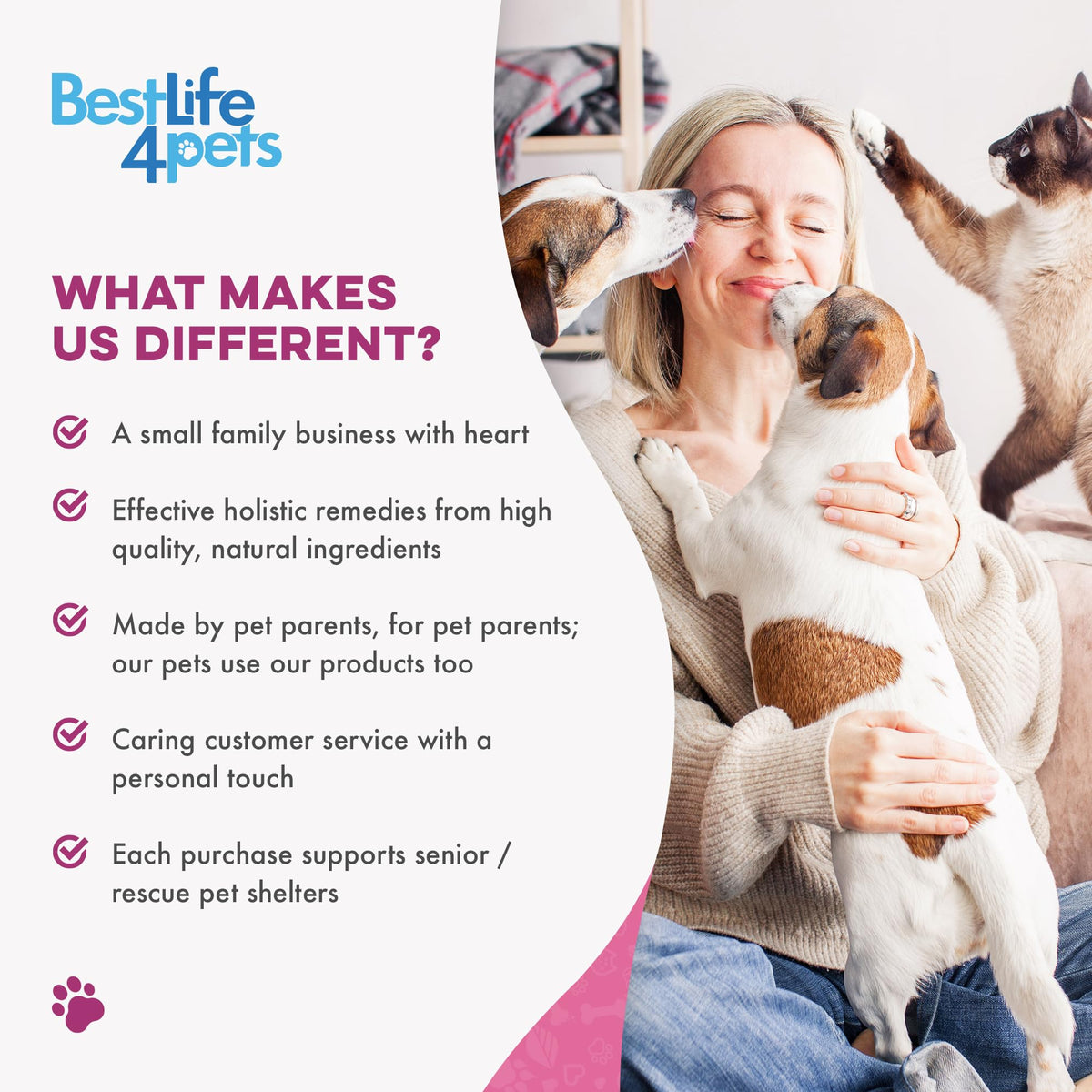 Weight Loss for Dogs 400 Pills J226618