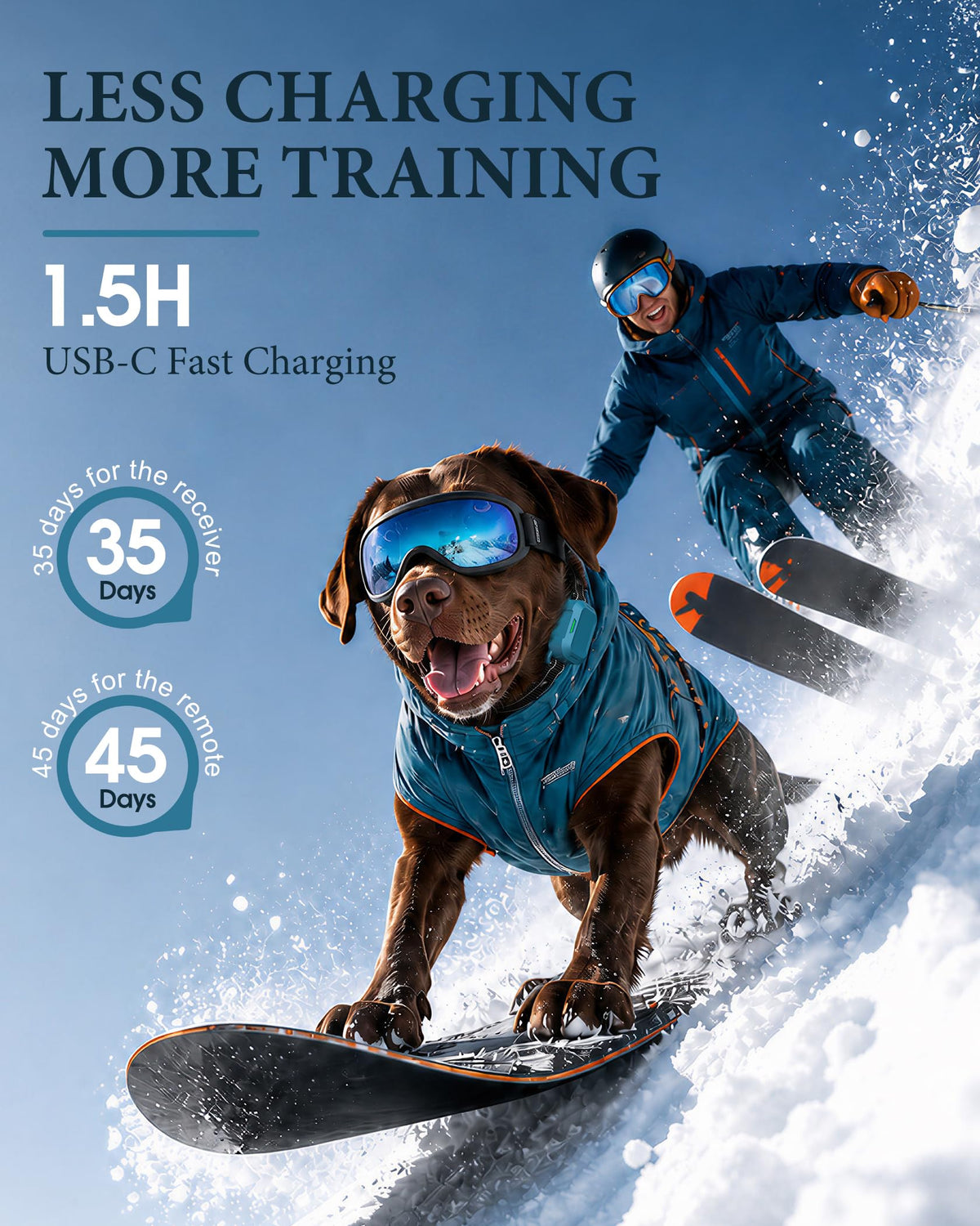 Dog Training Collar with Remote K74396