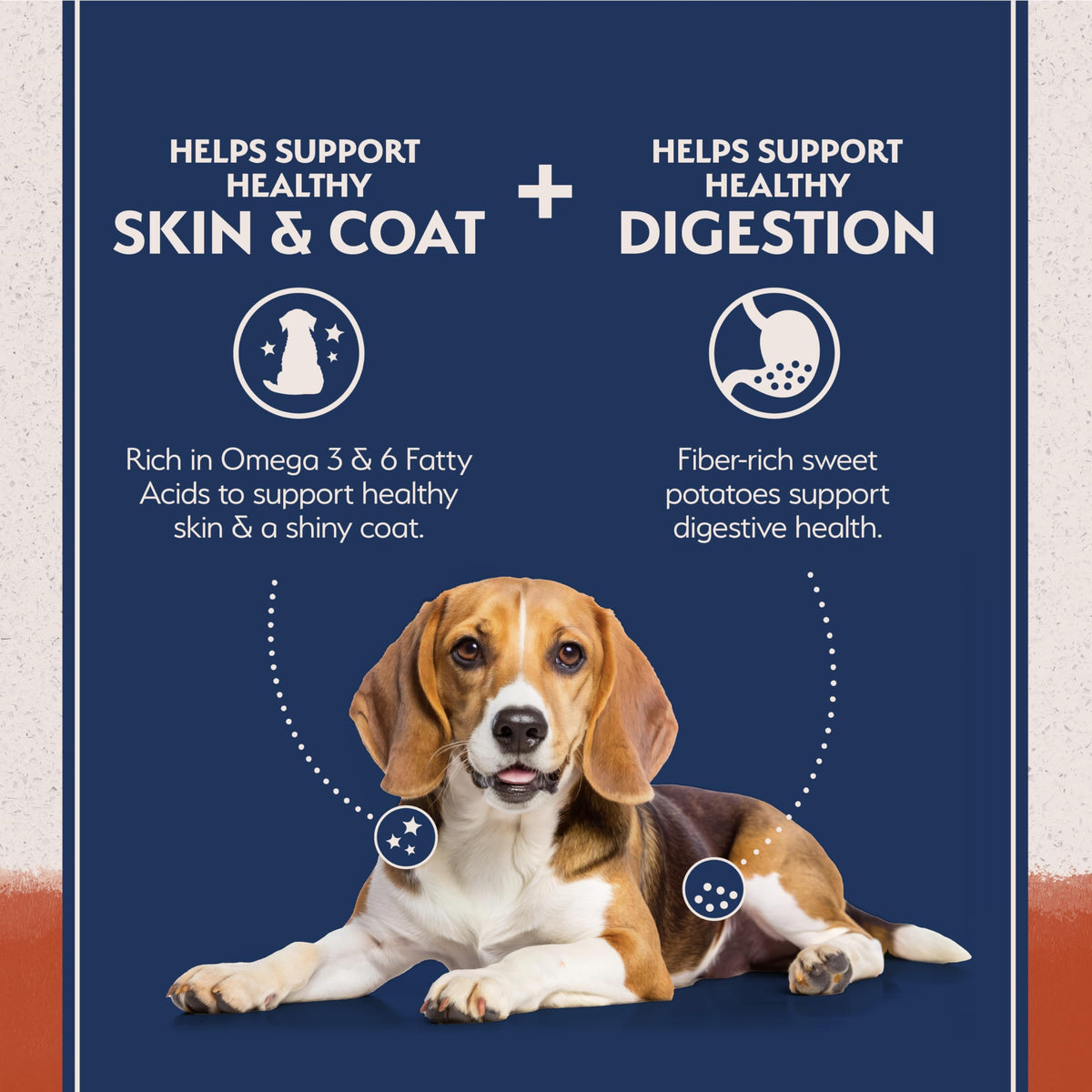 Salmon & Sweet Potato Dog Food 24 lb J35020