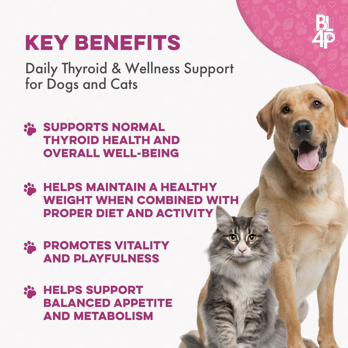 Weight Loss for Dogs 400 Pills J226618