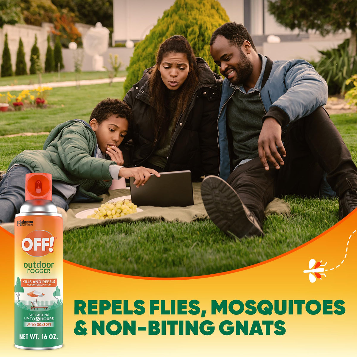 Outdoor Insect Control 16 ounce (Pack of 12) P679212