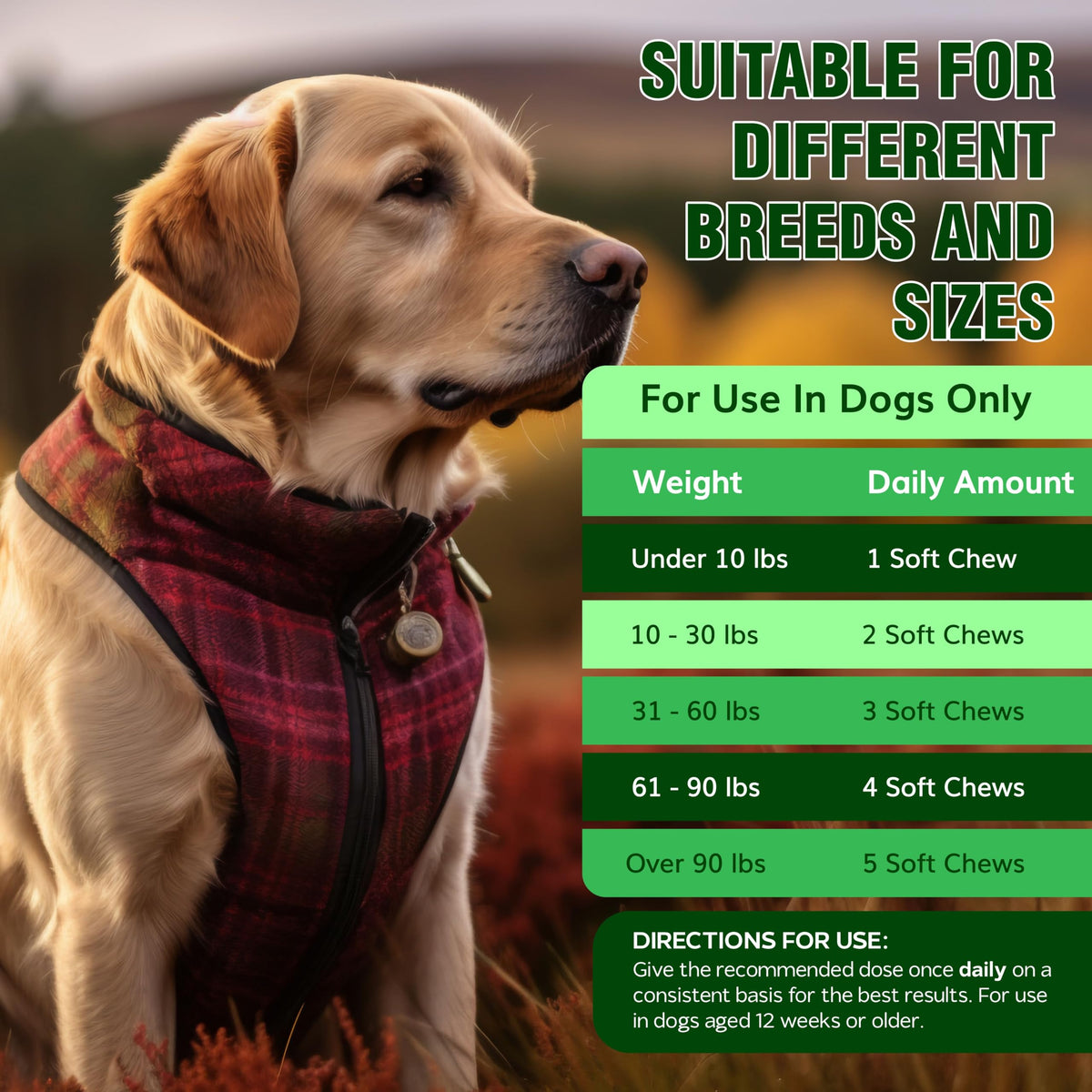 Flea and Tick Chewables for Dogs Chicken 120 Soft Treats Q765502