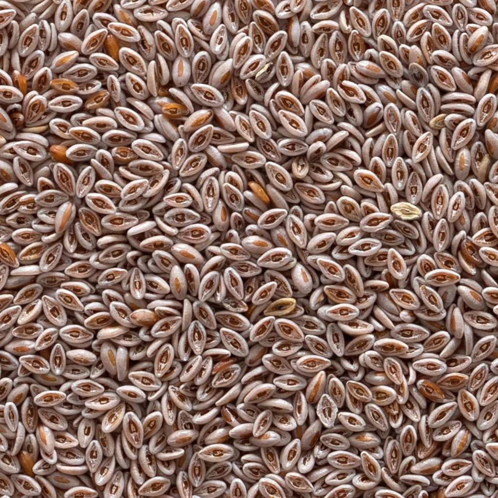Organic Whole Psyllium Seed 1lb C137