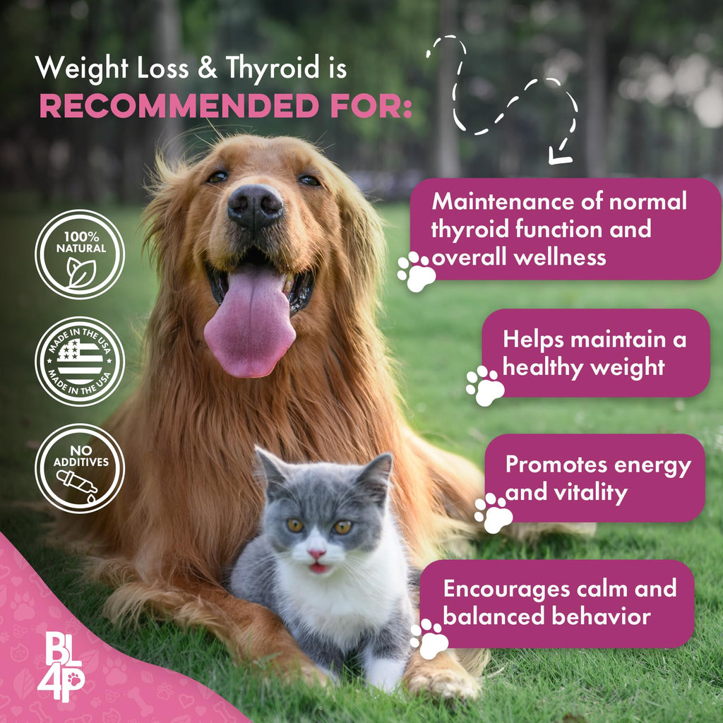 Weight Loss for Dogs 400 Pills J226618