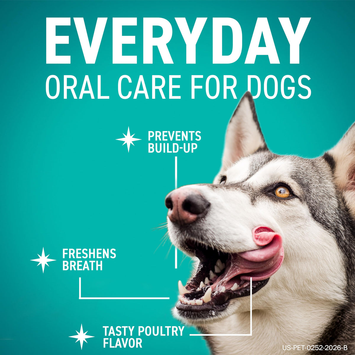 Dental Chews for Dogs 30 Count A3007