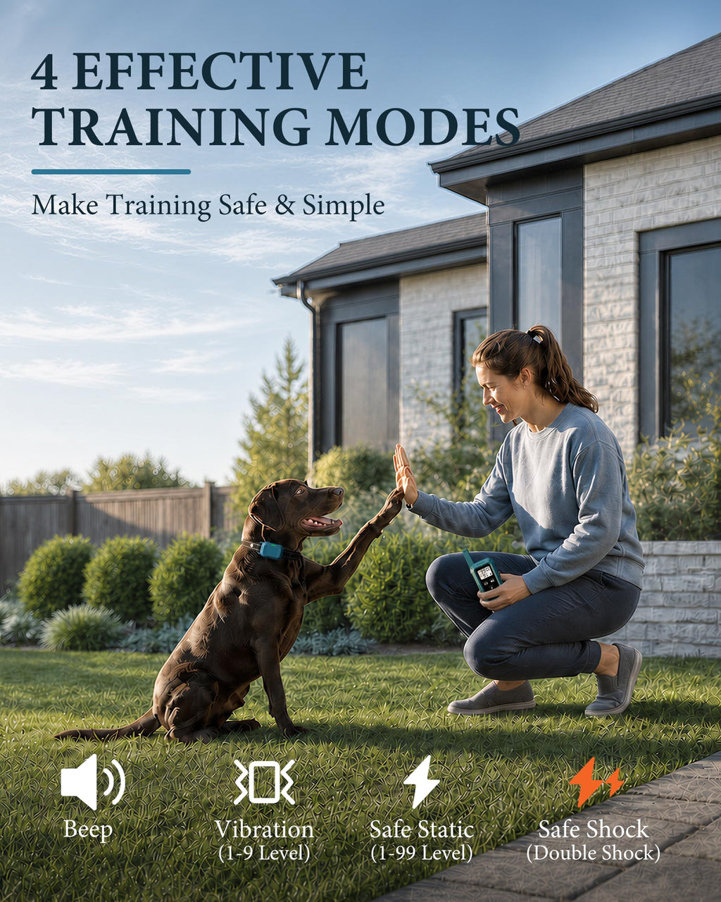 Dog Training Collar with Remote K74396