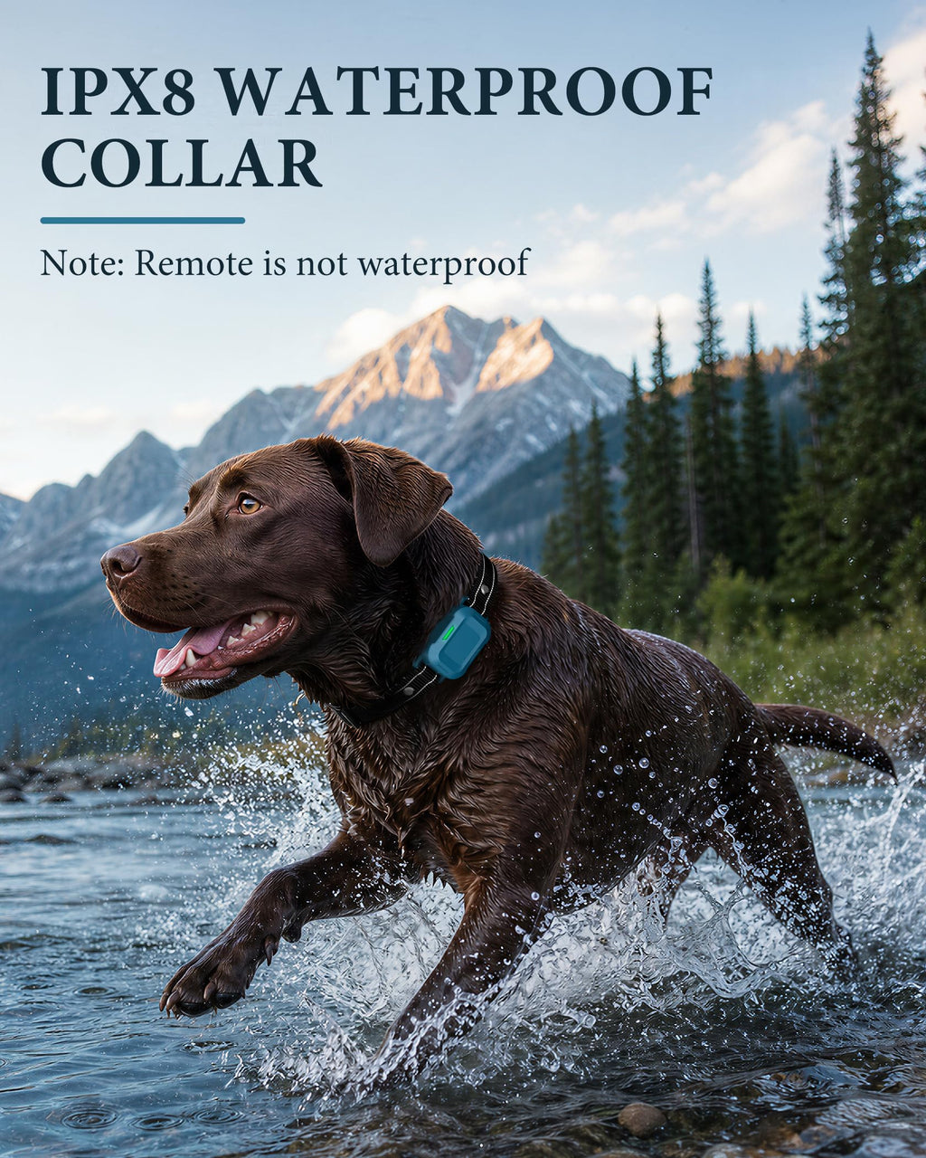 Dog Training Collar with Remote K74396