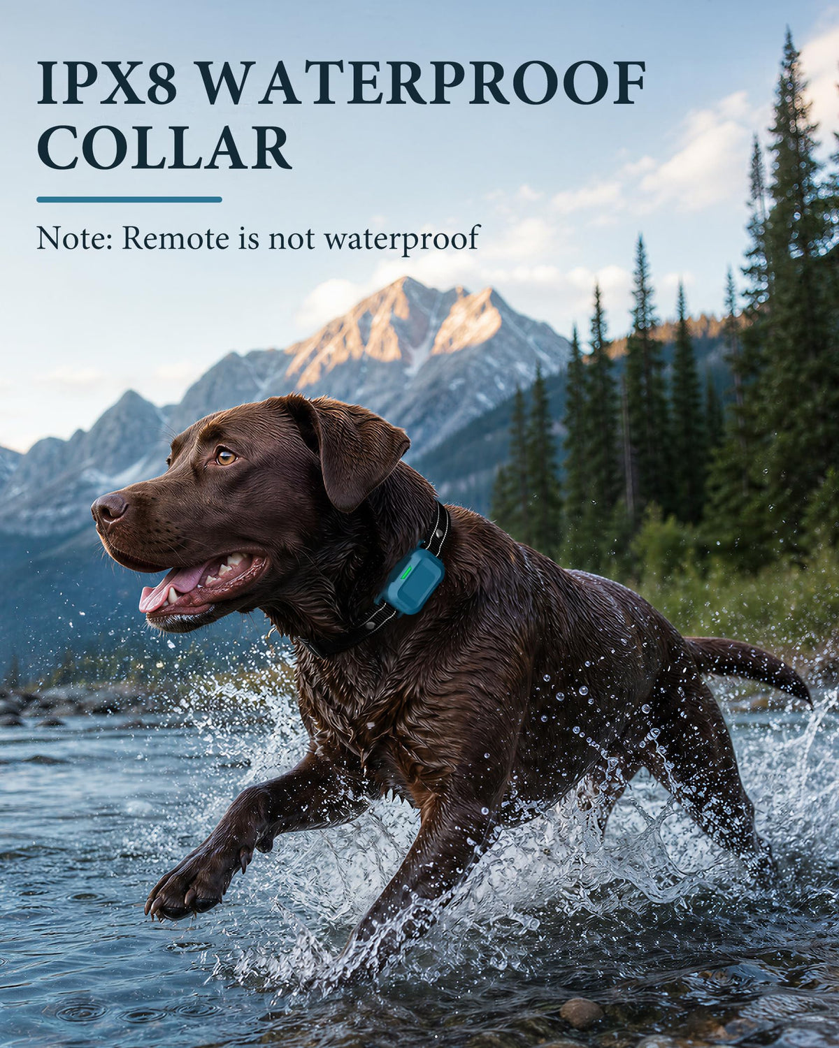 Dog Training Collar with Remote K74396
