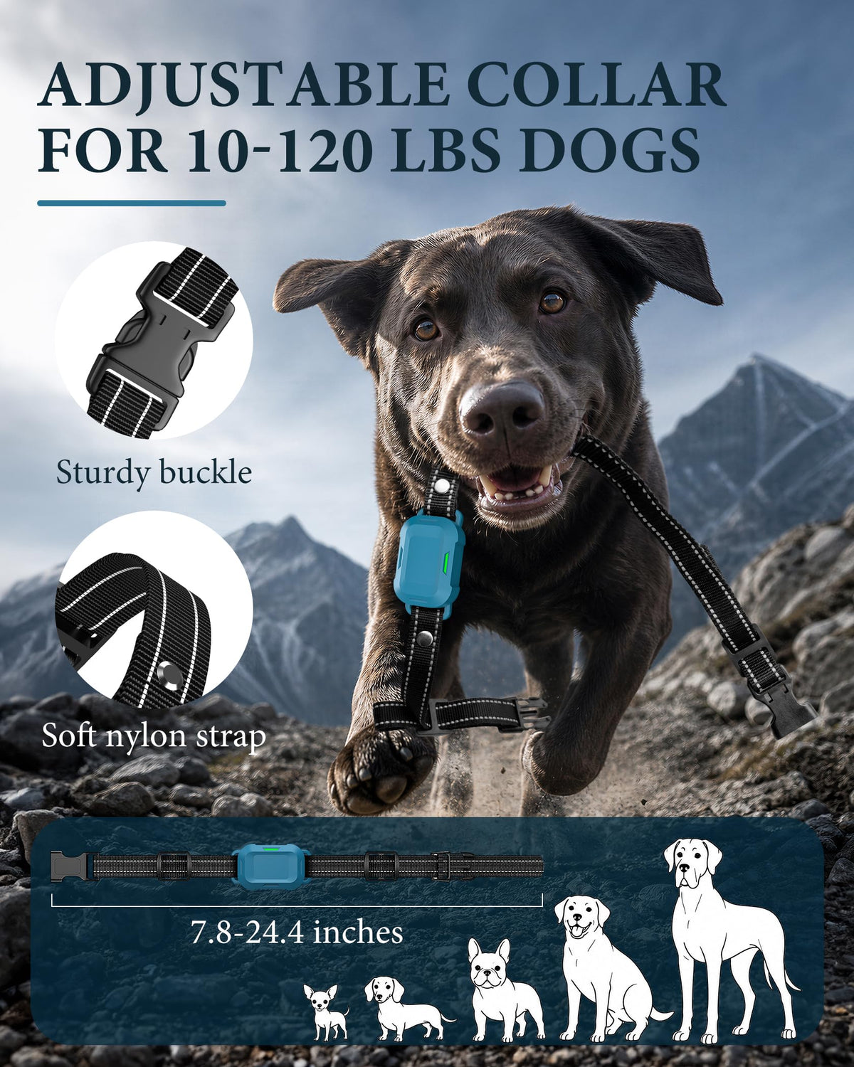 Dog Training Collar with Remote K74396